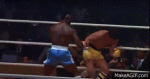 5jQA7l.gif