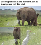 1672009395248.png