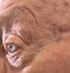 IMG_0381.jpeg