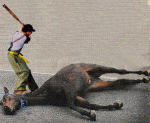 horse.gif