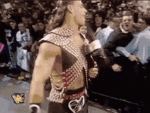 Shawn Michaels Gif (1).gif