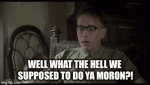 doug-kenney-what-the-hell-are-we-supposed-to-do.gif