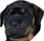 1746477118338.png