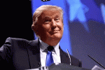 ezgif.com-webp-to-gif-converter.gif