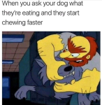 1747170378247.png