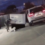 m9.gif