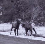 1756382076028.gif