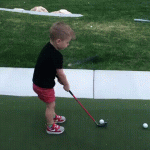 giphy (1).gif