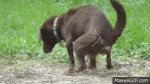 1757032925753.gif
