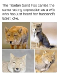 1757441553832.png