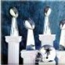 5 super bowls