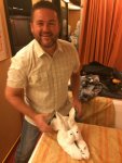 cruise rabbit.jpg cruise rabbit.jpg