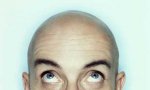 bald460x276.jpg