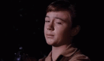 OldYeller.gif