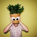 206000-flower-head-masculine-mouth-hand-plant-flower-leaf-photocase-stock-photo-large.jpeg