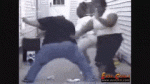 GroundedPreciousEskimodog-max-1mb.gif