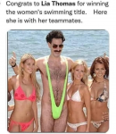 1647716320089.png