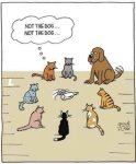 cat dog spin the bottl.jpg