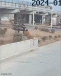 m10.gif