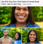 Untitled.png