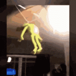 IMG568297945730113120.gif