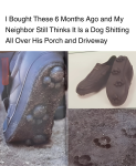 1740937505703.png
