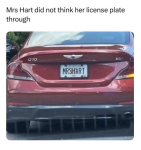 1763907503244.png