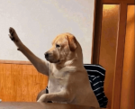 1767060686466.png