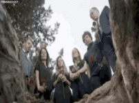 1000011134.gif