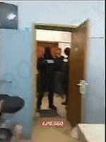 image1787172604.gif