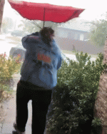 m18.gif