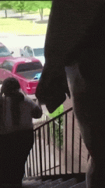 image1786384563.gif