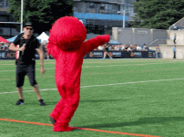IMG2516174164899557858.gif