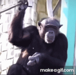 IMG_3268.gif