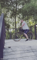 6.gif