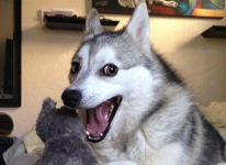 1792458685277.png